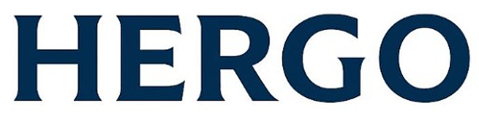 Logo login